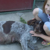 Fanynka caka ratolesti