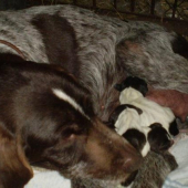 Fanynka a jej ratolesti