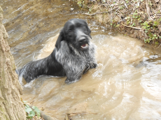 Bady má rád vodu za každého počasia