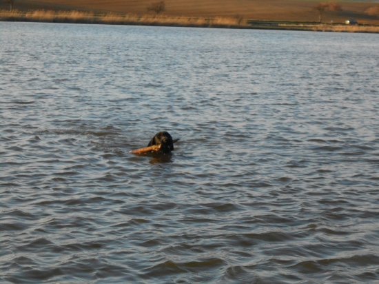 Bady boli sme sa trosku schladiť