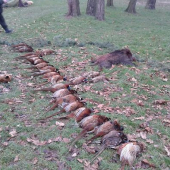 poľovačka v Dojči 30.11.14