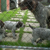 Fany a jej  ratolesti