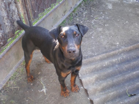 ahojte volam sa Flam