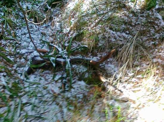 pár štartovaciemu 1