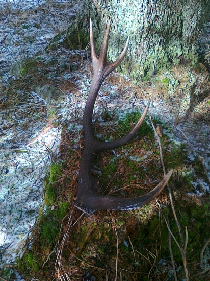 pár štartovaciemu 2