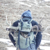 zhodar