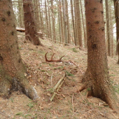KONEčNE