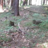 vchládku