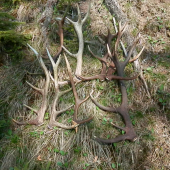 apo ceste ešte jeden