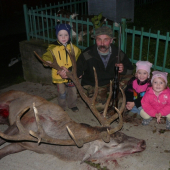 otcov životny jelen