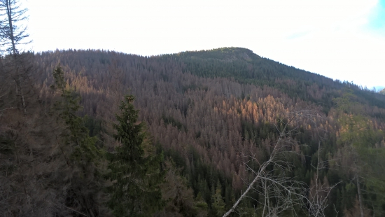 páni ochranári a páni aktivisti moc vám dakujeme.
