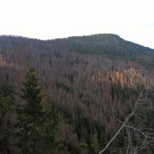 páni ochranári a páni aktivisti moc vám dakujeme.