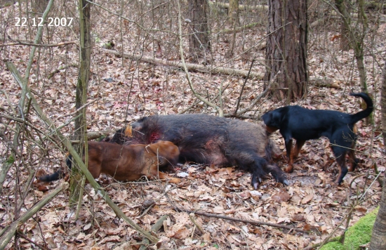 naši trhači v akcii