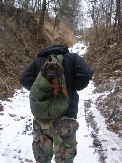 argo bavorsky farbiar