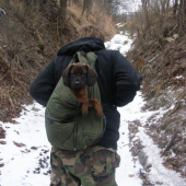 argo bavorsky farbiar