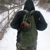 argo bavorsky farbiar