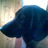 argo