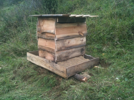 moja skromna prvotina