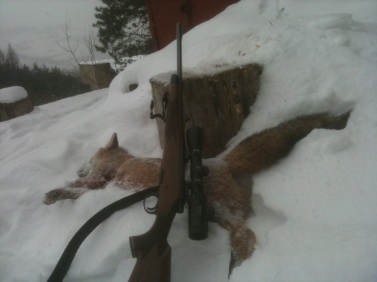 prvá tochtoročná ryšaňa :)