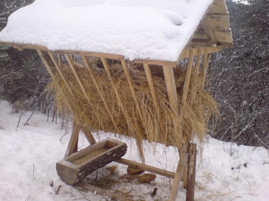 moja praca spolu s Richard19