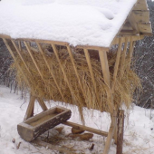 moja praca spolu s Richard19