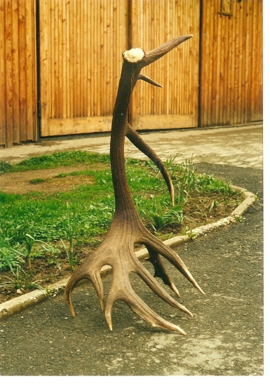 šok šok šok, tento zhod je pravý slovenský