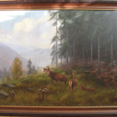Jelenia ruja olej