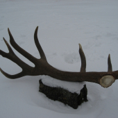 4,5 kg 226 cic