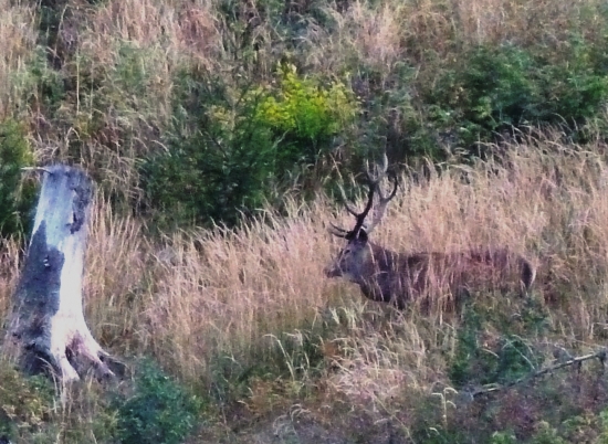 foto z diaľky
