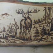 JELENIA RUJA DETAJL