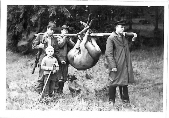 Transport jeleňa špicera