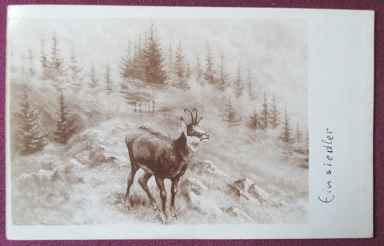 POHLADNICA KAMZIK 1910