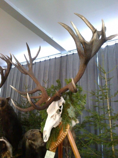 Najsilnejší v Poprade-pohľad zboku