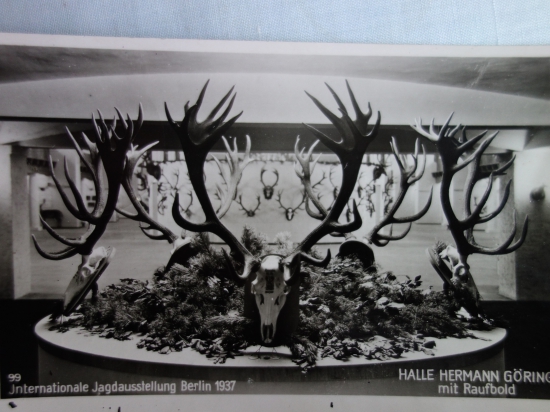 Medzinárodná poľovnícka výstava Berlin 1937