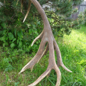 5,2 kg