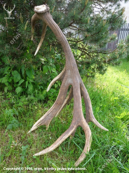 5,2 kg