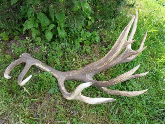 5,2 kg druhý pohľad