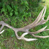 5,2 kg druhý pohľad