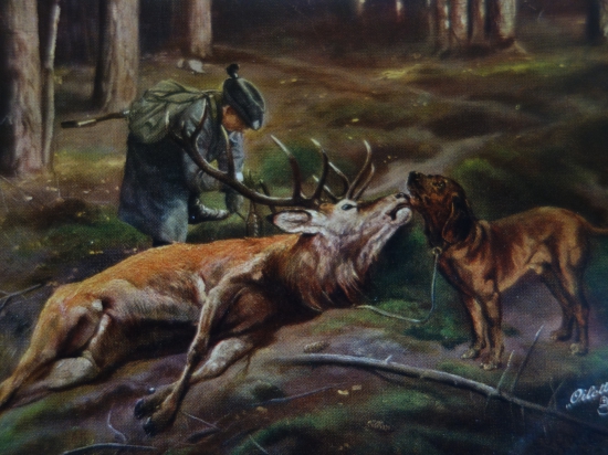 Pohladnica - úspešná dohladávka