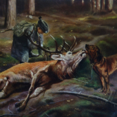 Pohladnica - úspešná dohladávka