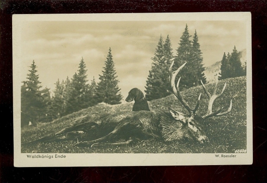 Koniec Kráľa - pohladnica