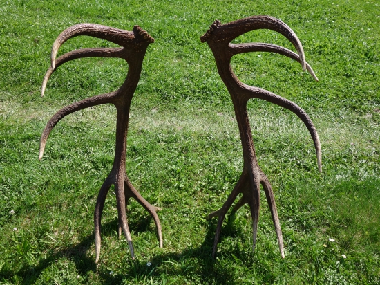 Šestnástorák pravý slovenský