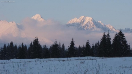 Cestou z prikrmovania