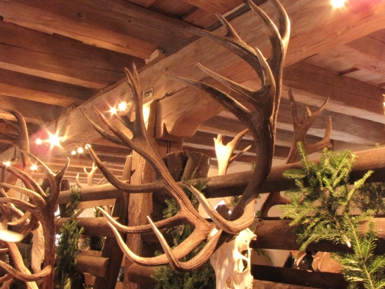 Sv.Anton-veľmi pekná trofej