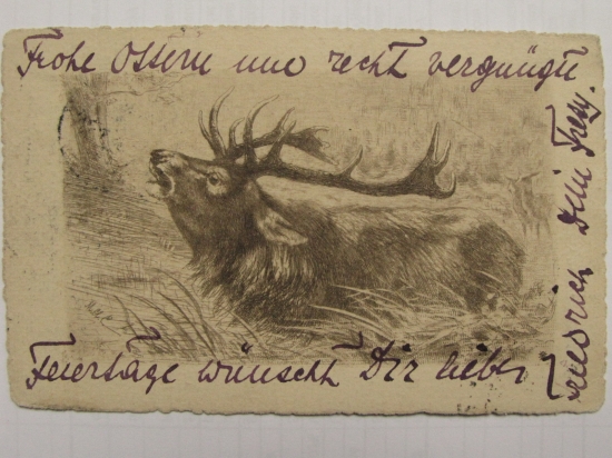 POHLADNICA Z ROKU 1902