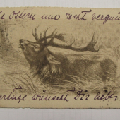 POHLADNICA Z ROKU 1902