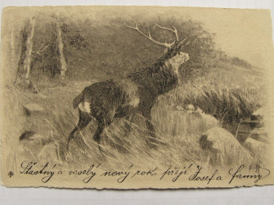 POHLADNICA Z ROKU 1903