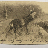 POHLADNICA Z ROKU 1903