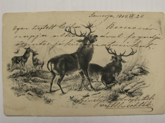 POHLADNICA Z ROKU 1903