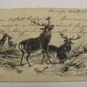 POHLADNICA Z ROKU 1903